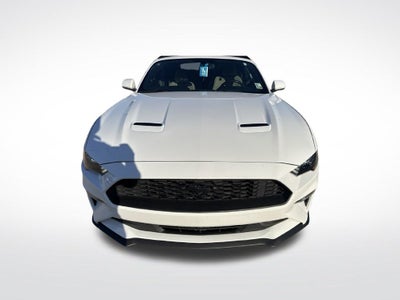 2019 Ford Mustang EcoBoost