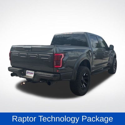 2019 Ford F-150 Raptor