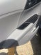 2017 Honda Accord EX-L w/Navigation and Honda Sensing